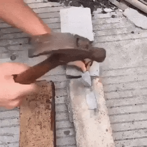 giphy_5-ezgif